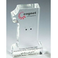 #1 Lucite Stock Shape Embedment / Award